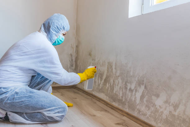 Bathroom Mold Removal assessment in Nesconset bathroom