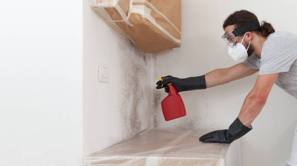 Attic Mold Remediation treatment on roof deck in Nesconset